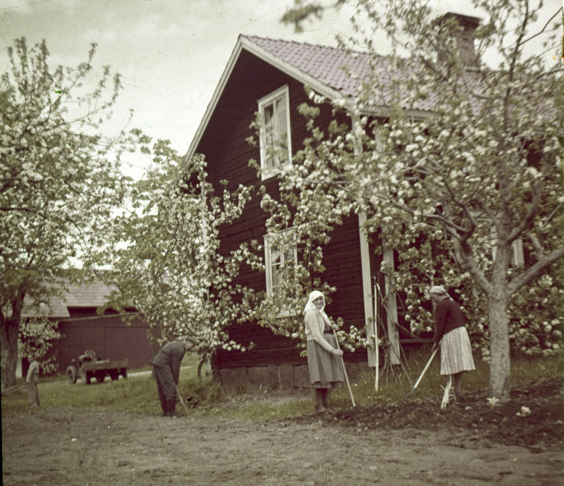 I trädgården